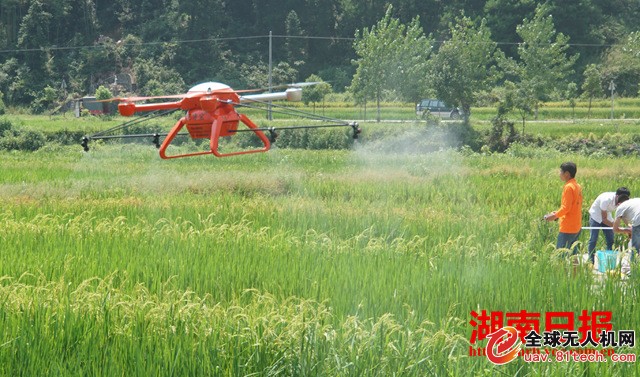 绥宁县农用无人机田间制种授粉忙